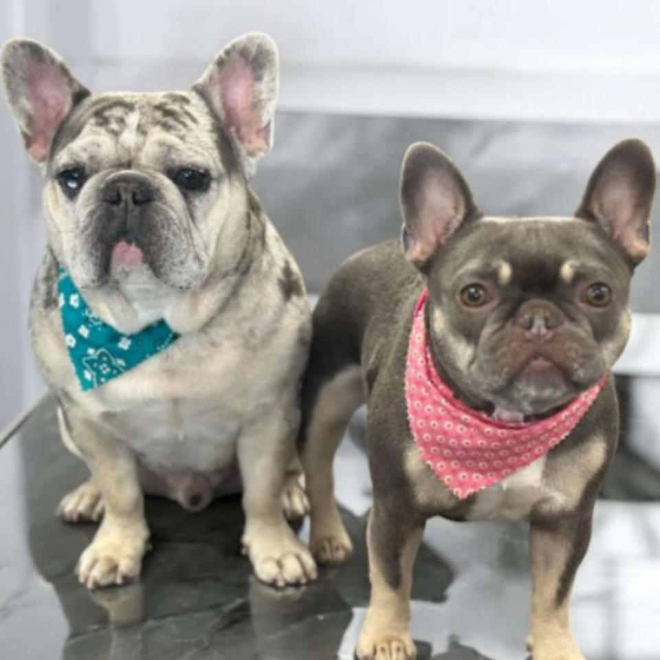 uo 112223 24f8ebec a9cb 46ad ac5a 27e416510ace