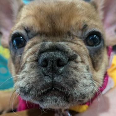 uo 112223 750210ac 576c 427c 8c40 e8d9f74c939b