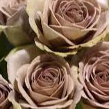 uo 112223 ee13a55c 967f 4403 844d e7bdc8b8cbff